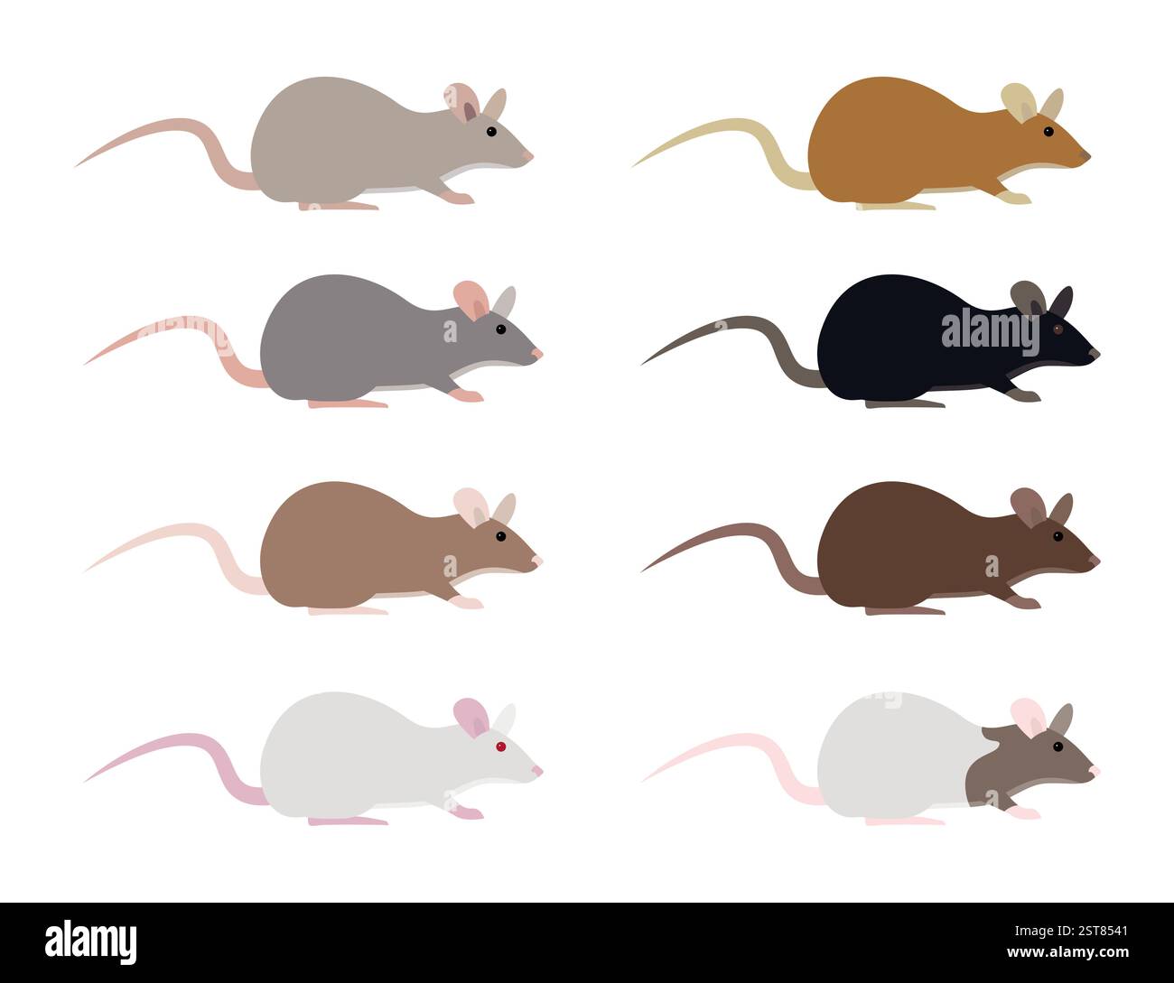 Huit rats de différentes couleurs sur fond blanc Illustration de Vecteur