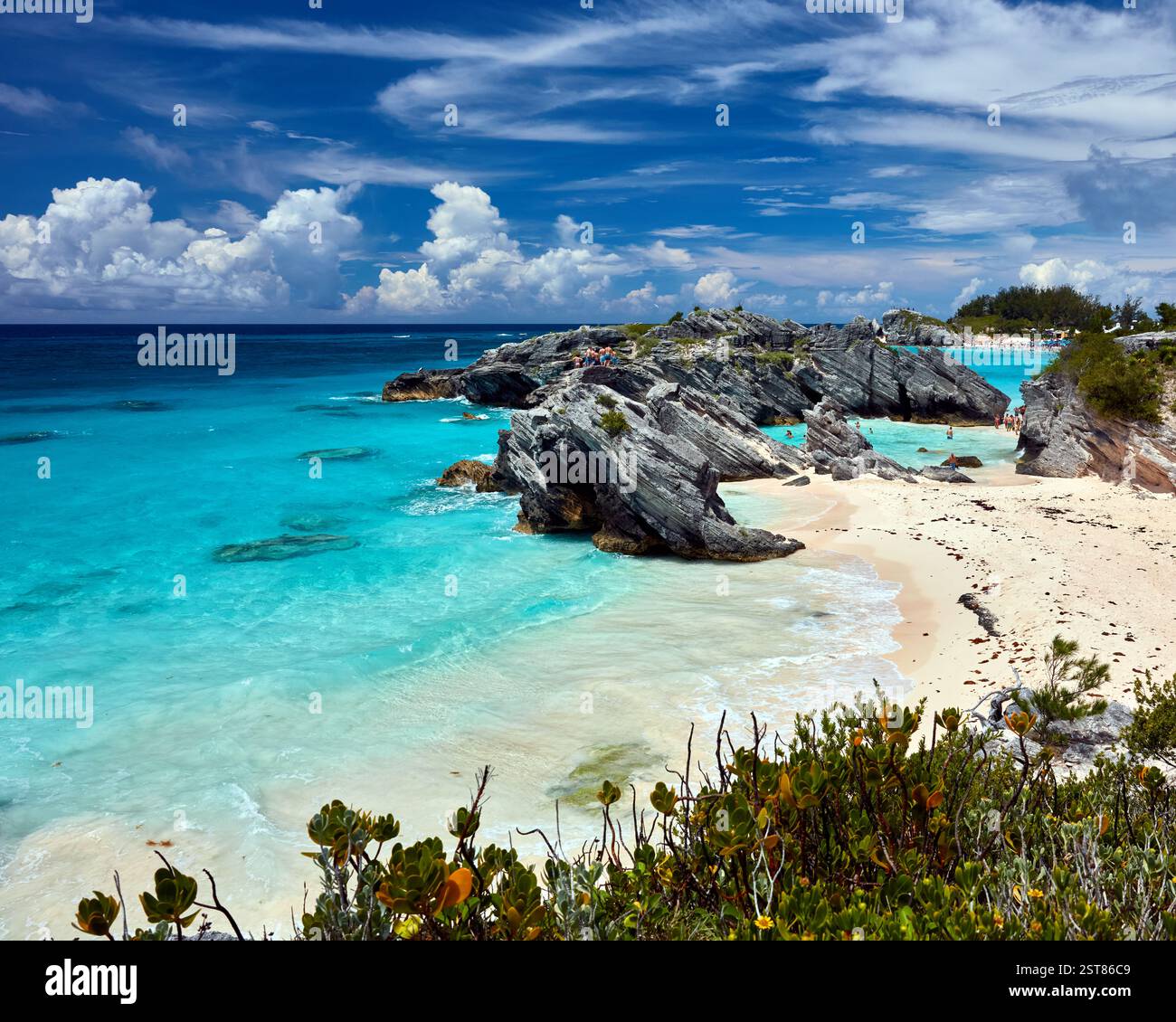 Plages tropicales côtières de l'île des Bermudes Banque D'Images