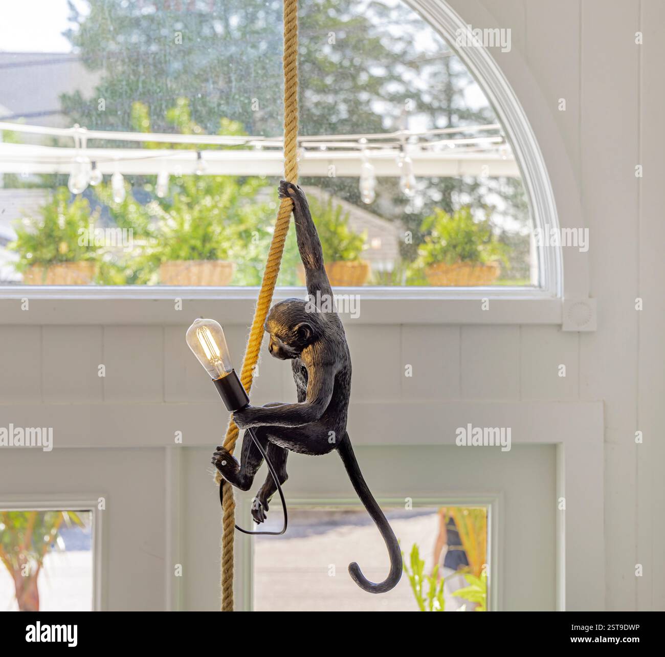 l'invention concerne un luminaire comportant un singe suspendu à une corde tenant une ampoule Banque D'Images