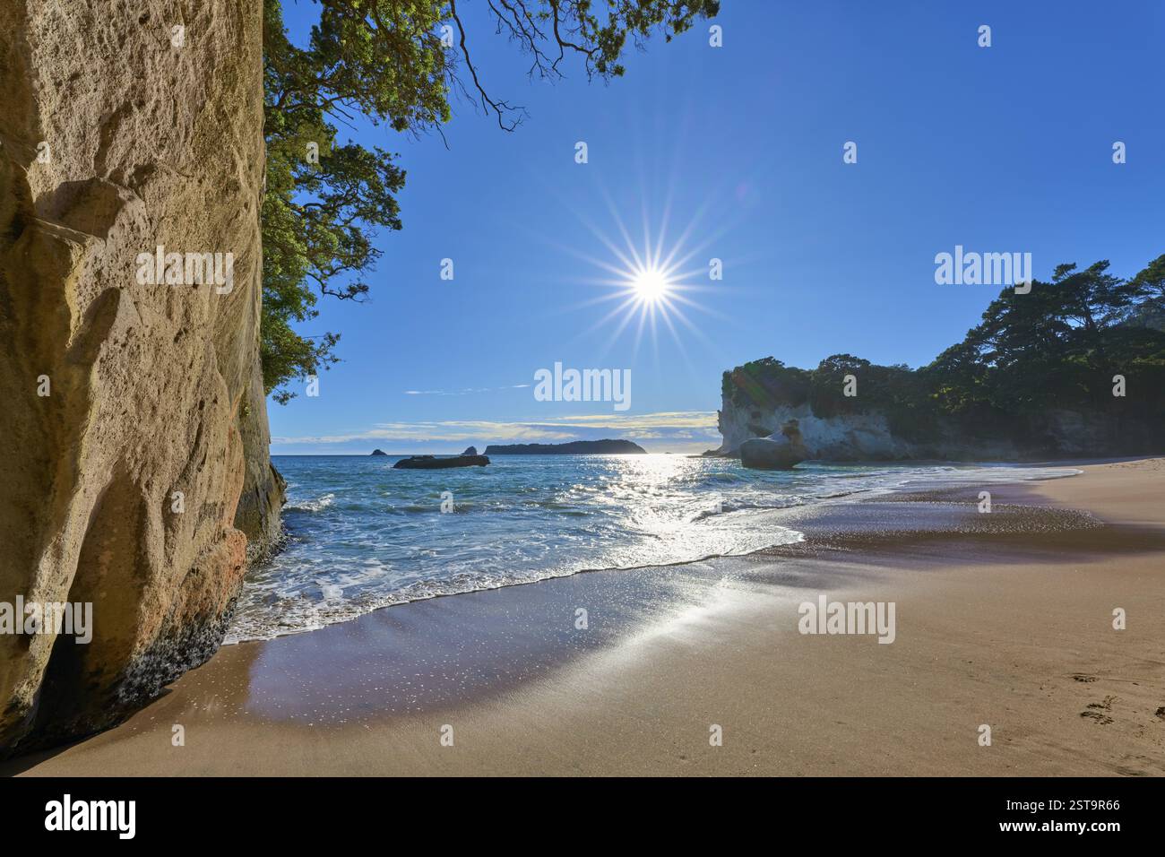 Soleil brille sur une plage pittoresque avec des rochers, Cathedral Cove, Coromandel, Canterbury, Île du Nord, nouvelle-Zélande, Océanie Banque D'Images Soleil brille sur une plage pittoresque avec des rochers, Cathedral Cove, Coromandel, Canterbury, Île du Nord, nouvelle-Zélande, Océanie Banque D'Images