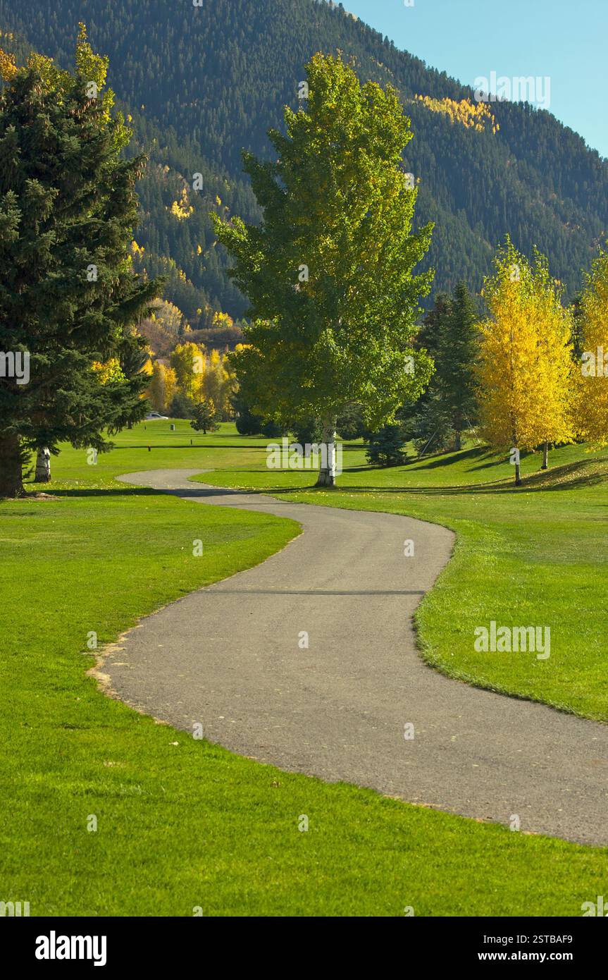 Parcours de golf d'Aspen alors que les pins d'Aspen changent de couleur Banque D'Images