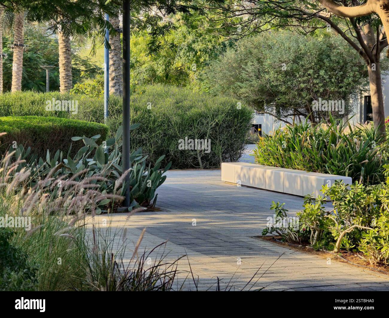 L'espace de Royaume public accueillant et vert dans le Town Square Development à Dubaï pendant l'après-midi avec un banc de béton en arrière-plan, caste Banque D'Images