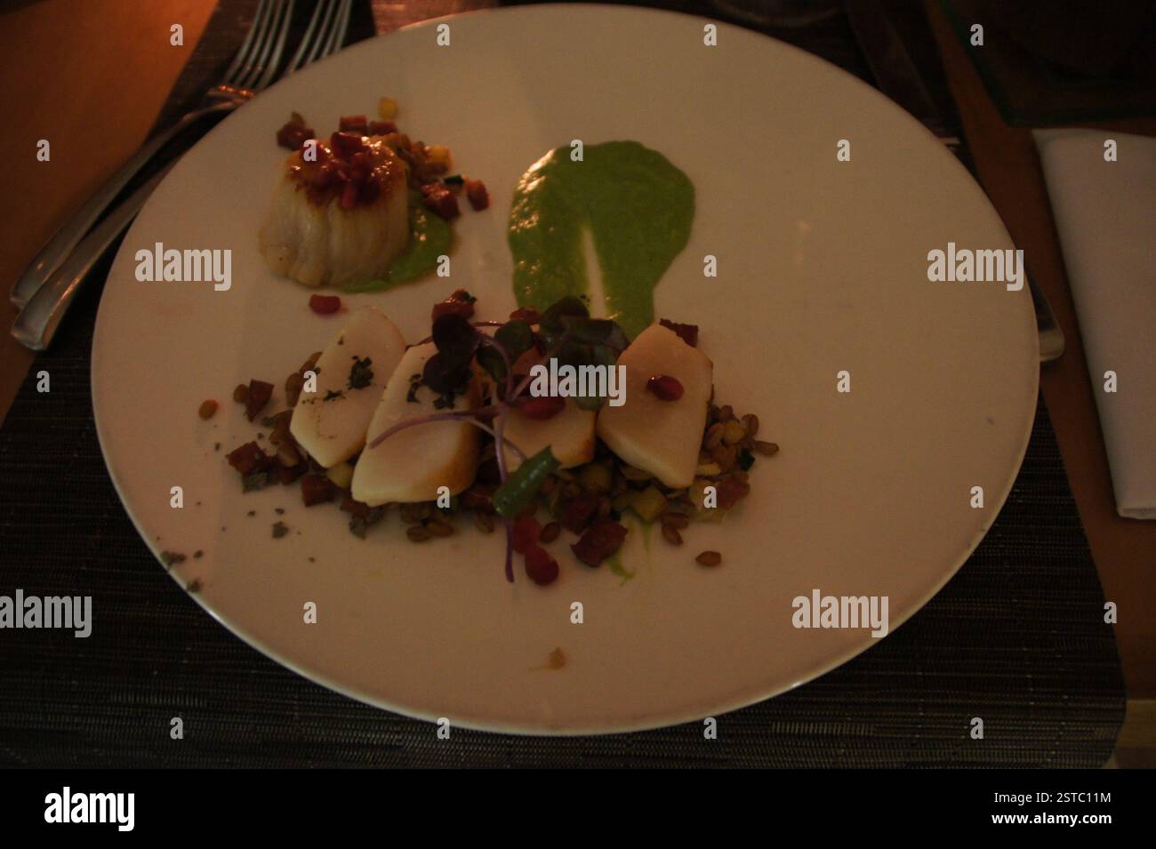 Miami. Une assiette blanche avec des tranches de bœuf, des bouquets de brocoli et de la sauce verte. Repas sain et délicieux. L'heure du déjeuner ? Plat de boeuf et brocoli. Repas bien préparé Banque D'Images Miami. Une assiette blanche avec des tranches de bœuf, des bouquets de brocoli et de la sauce verte. Repas sain et délicieux. L'heure du déjeuner ? Plat de boeuf et brocoli. Repas bien préparé Banque D'Images