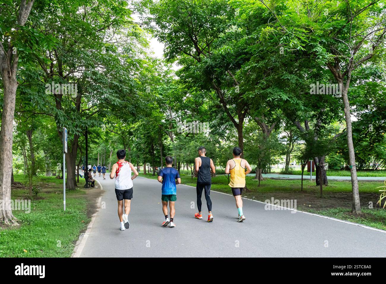 Joggers sur un sentier paisible du parc entouré d'arbres verts luxuriants Banque D'Images