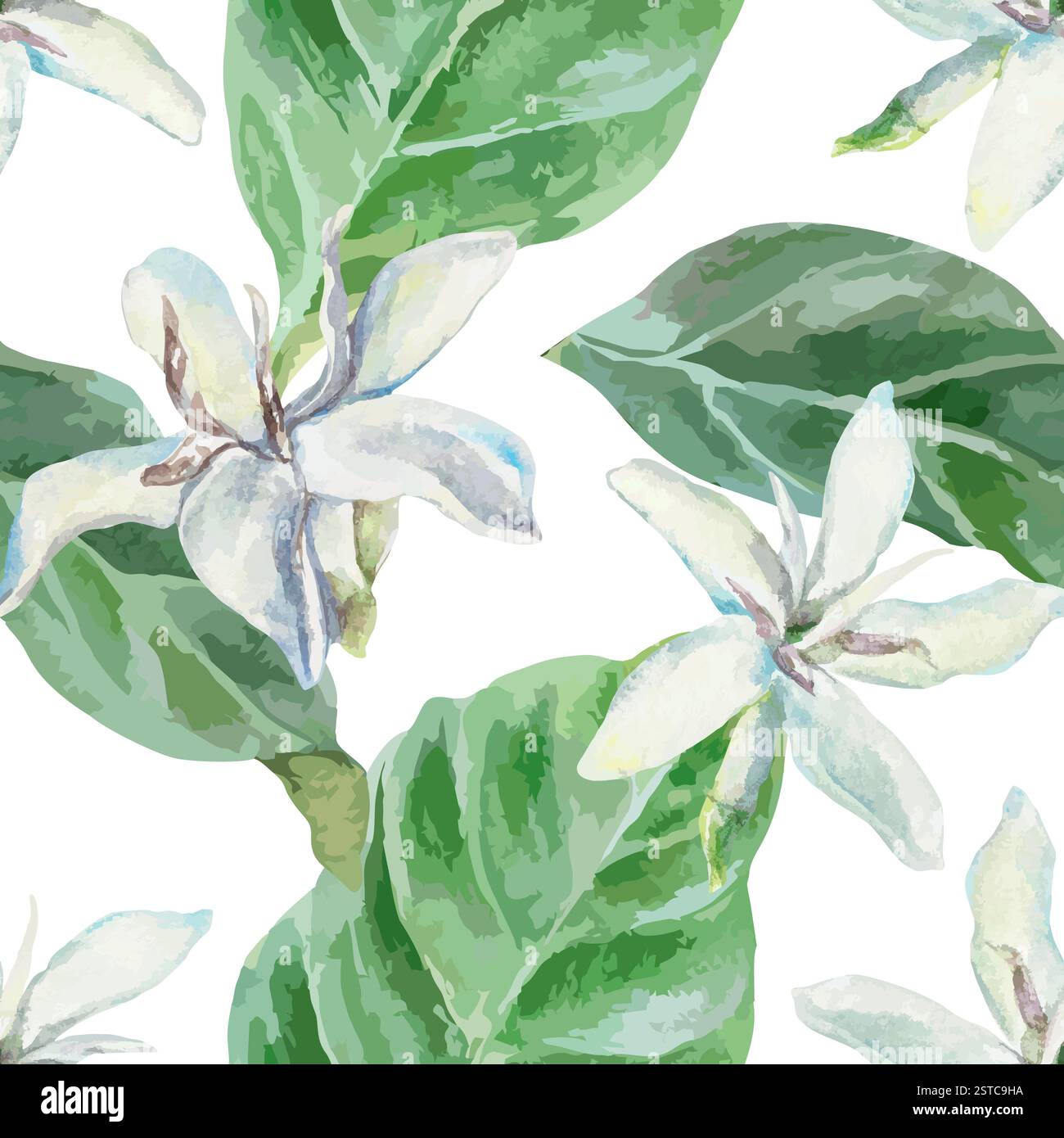 Fleurs blanches et feuilles vertes de caféier, motif sans couture, aquarelle. Illustration vectorielle dessinée à la main. Pour cartes, papier d'emballage, couvertures, tissu Illustration de Vecteur