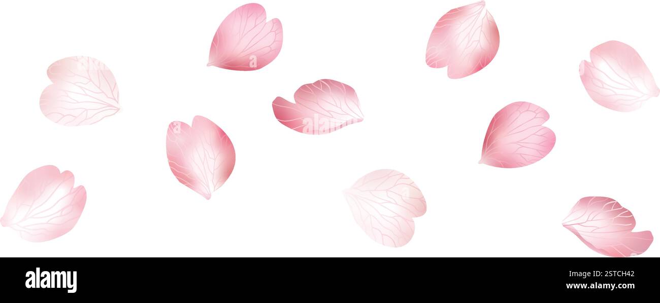 Pétales de sakura rose volants tombant isolés sur fond blanc. Recouvrement de pétales de fleur de rose. Illustration vectorielle réaliste. Valentine, amour, printemps Illustration de Vecteur