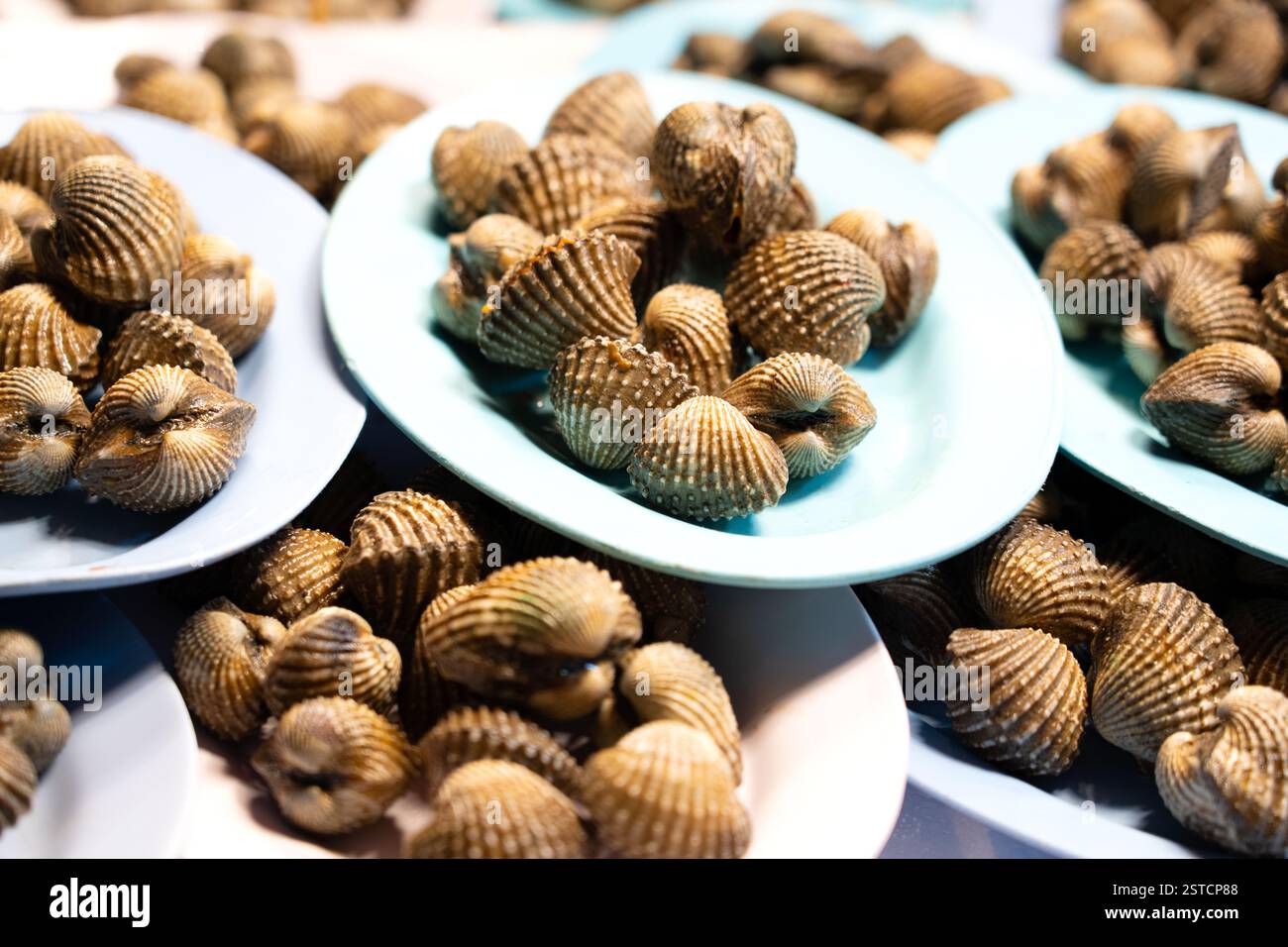 Coques crues fraîches sur une assiette sur le marché humide Banque D'Images