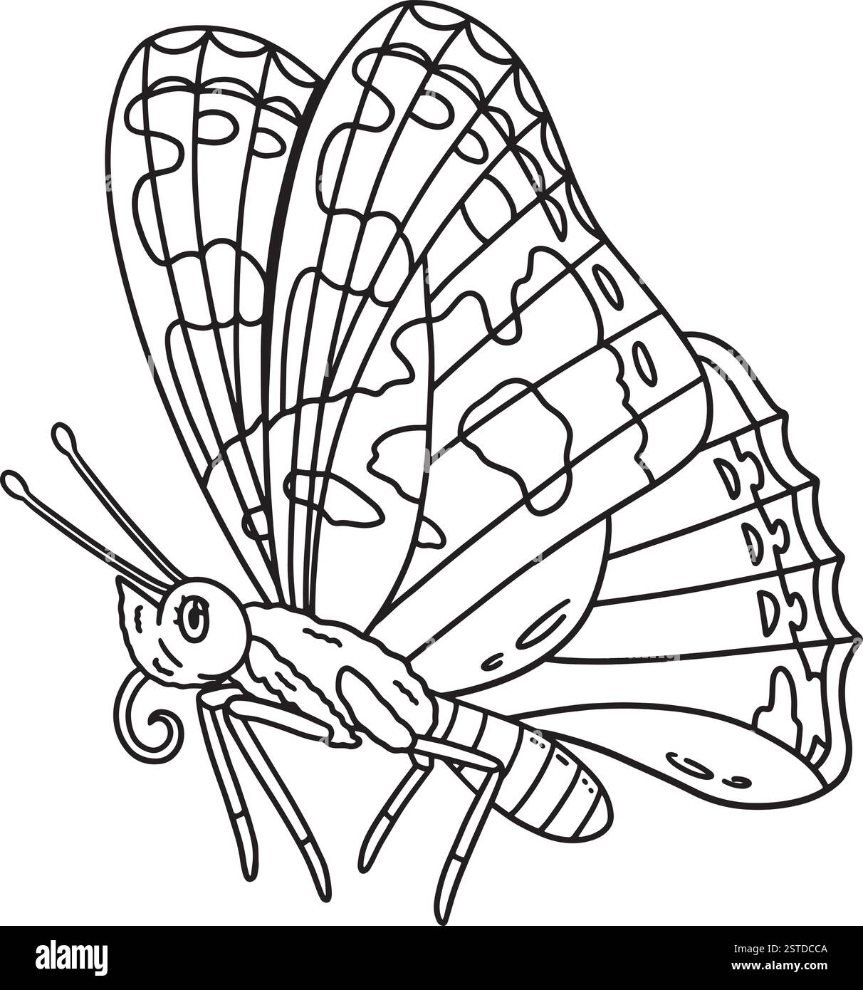 Insecte peint Lady Butterfly animal isolé Illustration de Vecteur