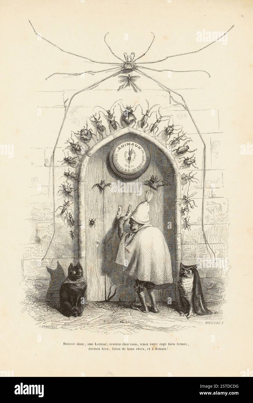 Scène caricaturale mettant en scène un chat noir et un hibou, considérés comme de mauvais présages, à l’entrée d’un bâtiment orné d’insectes et d’une chauve-souris. L'illustration représente avec humour le « Bonsoir » du règne animal. Banque D'Images