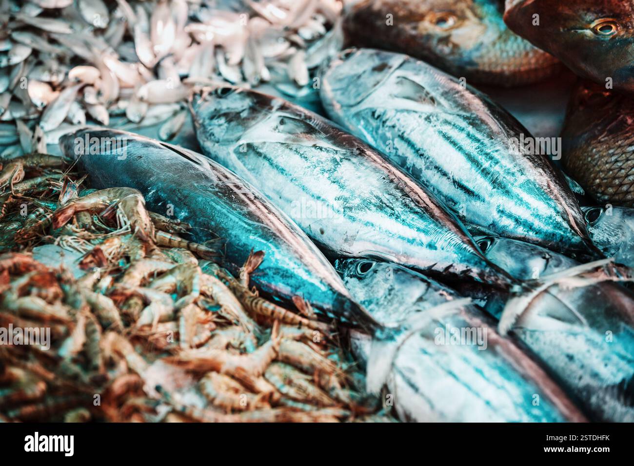 Poissons, crevettes et autres fruits de mer sur le marché Banque D'Images