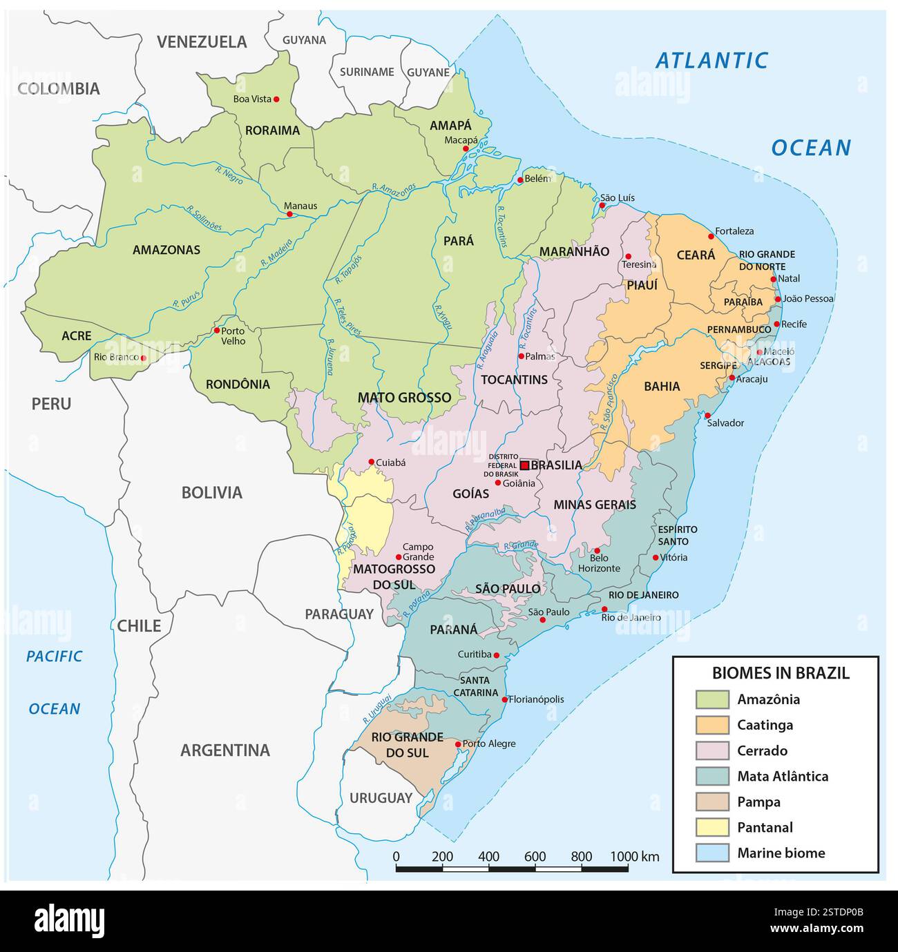 Carte de la distribution des biomes au Brésil. Banque D'Images