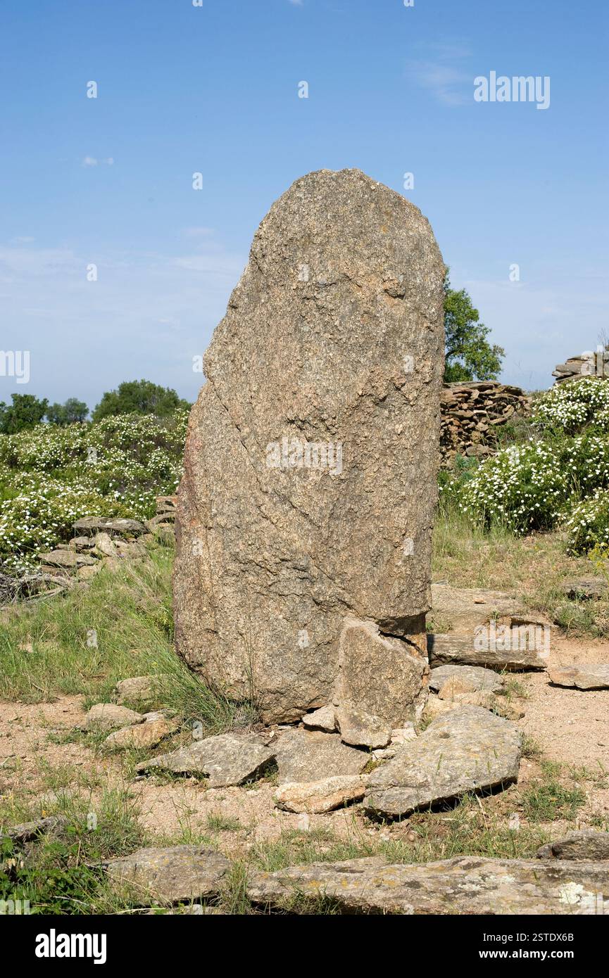 Menhir de Casa Cremada II (3500 av. J.-C.). Roses, Alt Empordà, Gérone, Catalogne, Espagne. Banque D'Images