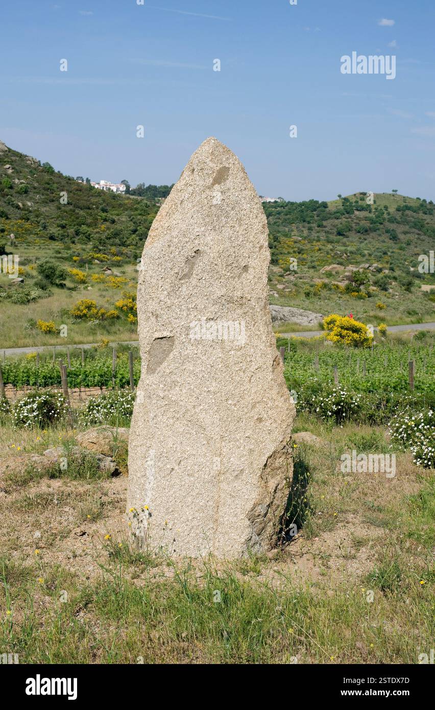 Menhir du Mas Marés I (3500 av. J.-C.). Roses, Alt Empordà, Gérone, Catalogne, Espagne. Banque D'Images
