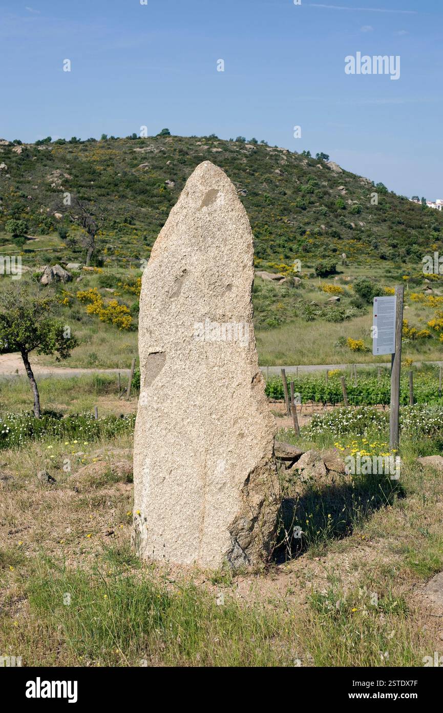 Menhir du Mas Marés I (3500 av. J.-C.). Roses, Alt Empordà, Gérone, Catalogne, Espagne. Banque D'Images