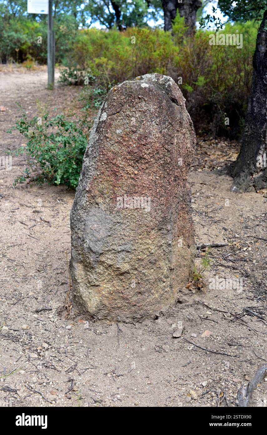 Menhir de Quer Afumat II (3500 av. J.-C.). Capmany, Alt Empordà, Gérone, Catalogne, Espagne. Banque D'Images