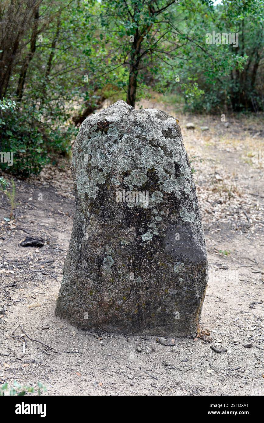Menhir de Quer Afumat II (3500 av. J.-C.). Capmany, Alt Empordà, Gérone, Catalogne, Espagne. Banque D'Images