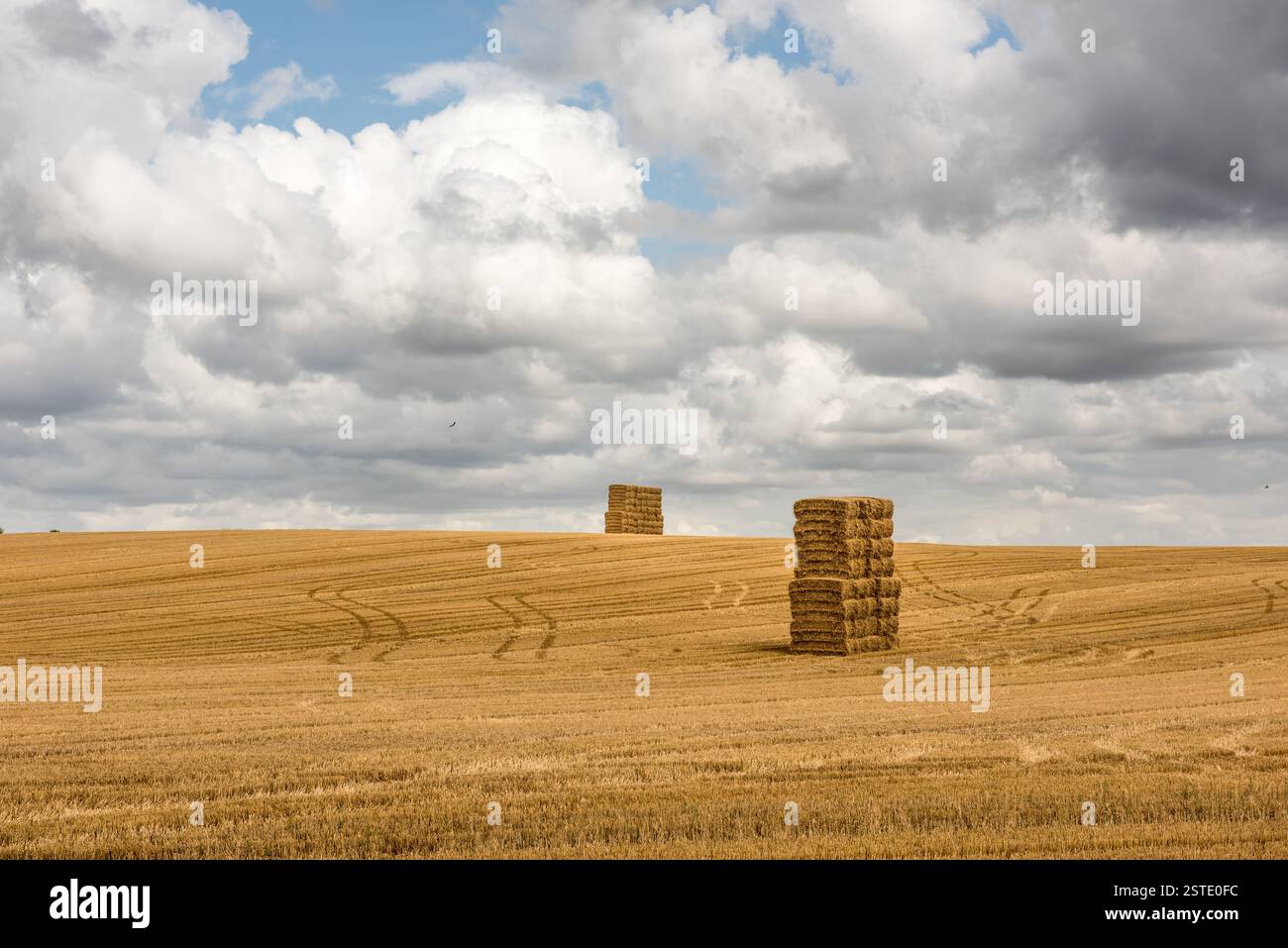 Balles de paille empilées dans le champ Banque D'Images