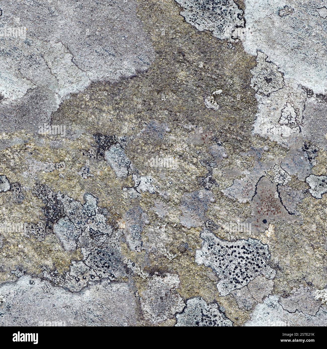 Modèle sans couture - roche de granit avec lichen nord Banque D'Images