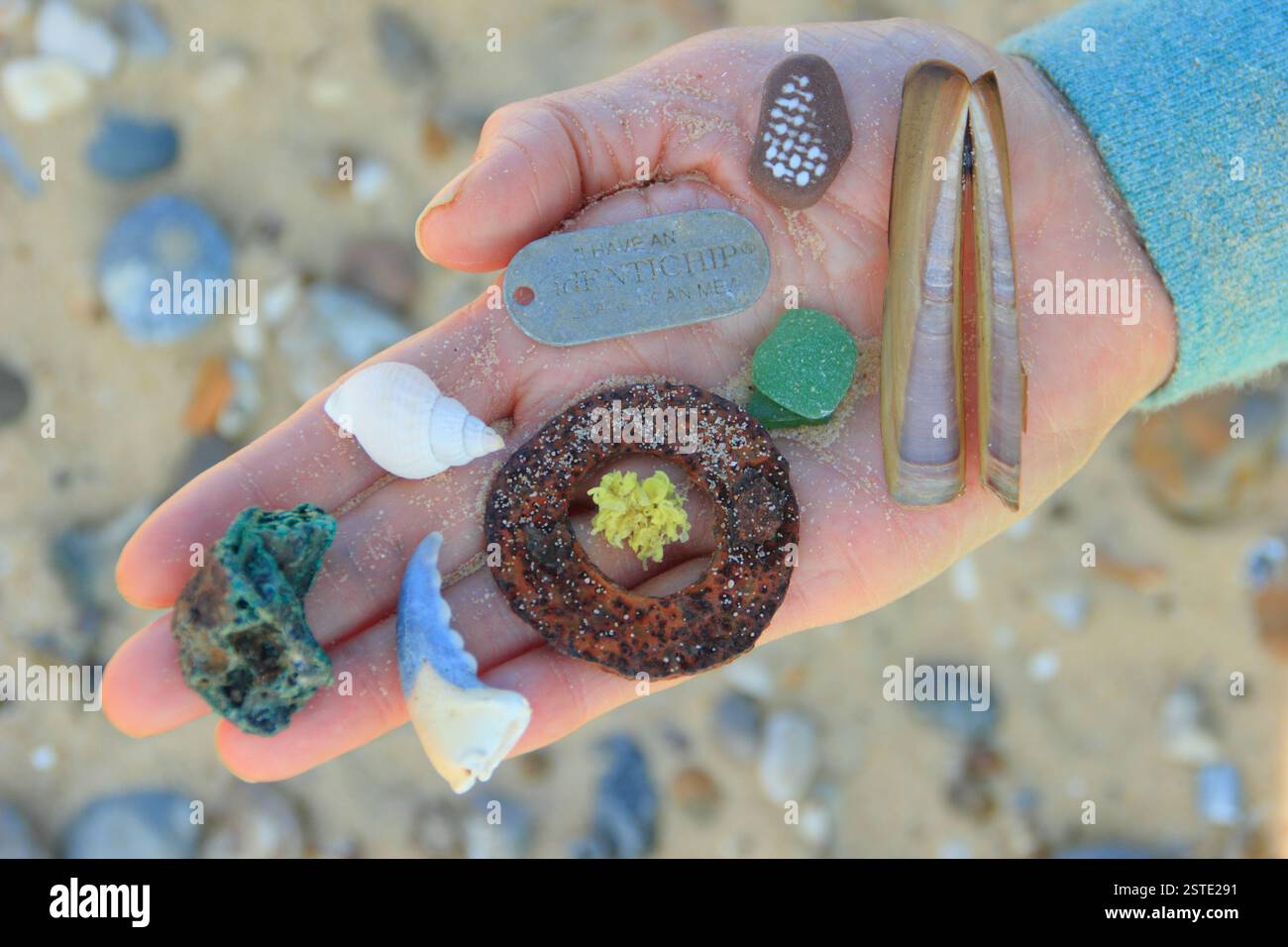 Plage peignant des trésors trouvés sur une plage anglaise, y compris des verres de mer, des coquillages, une étiquette d'identité et des galets intéressants. Angleterre, Royaume-Uni Banque D'Images