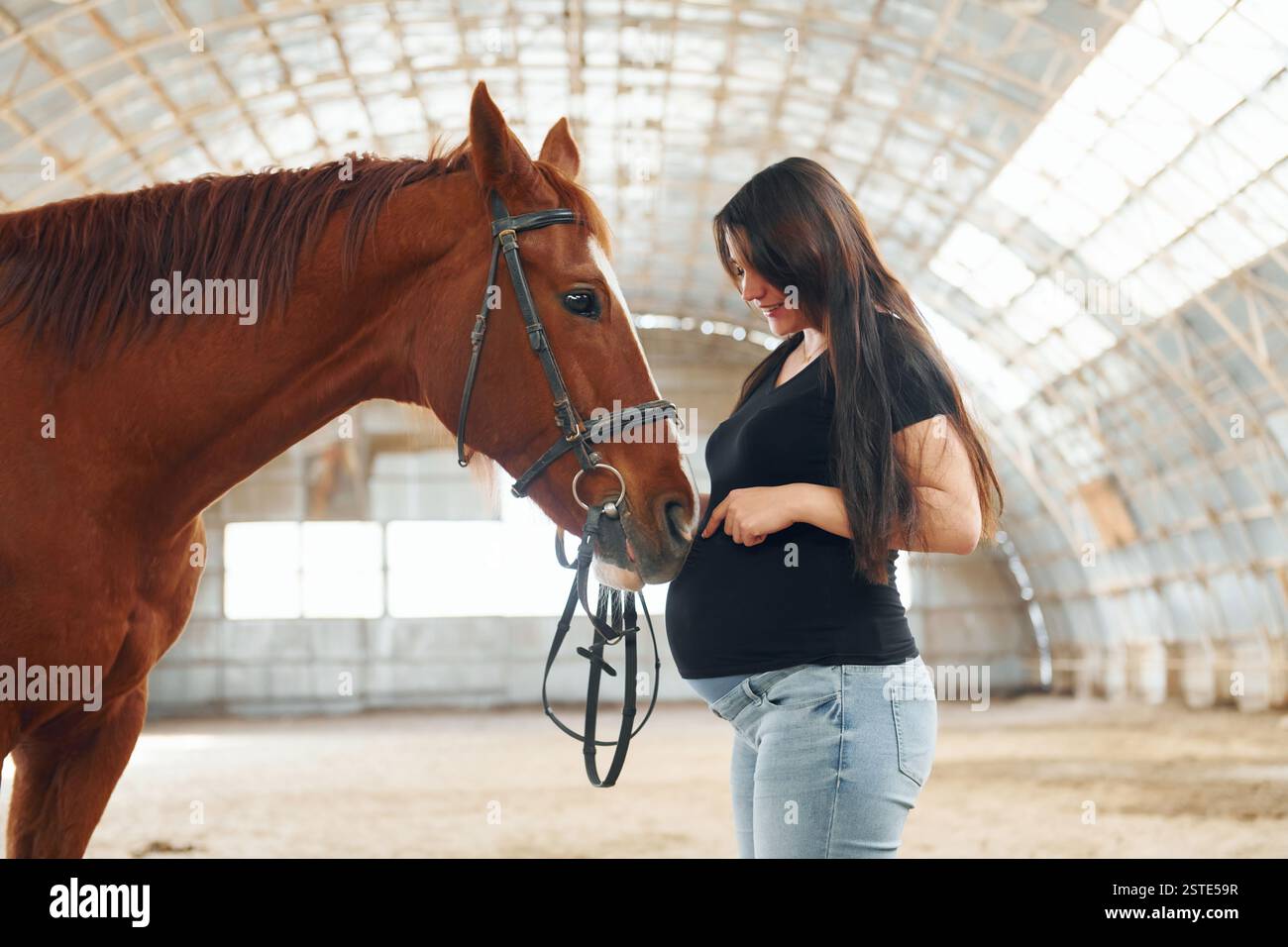 Vue latérale. Belle femme enceinte en vêtements décontractés est avec le cheval sur une écurie. Banque D'Images