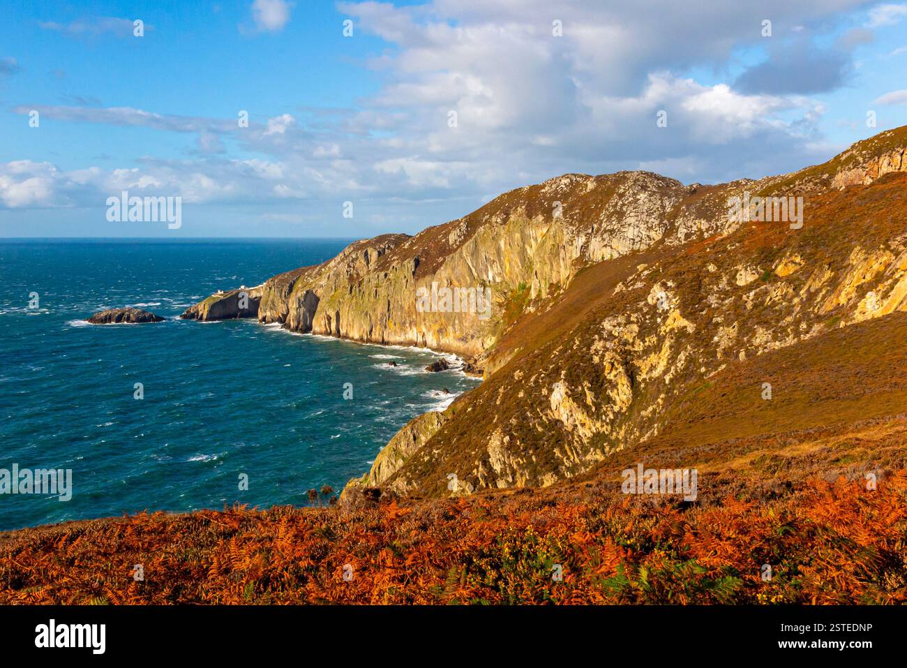 Falaises et littoral en été à North Stack près de Holyhead sur la côte nord d'Anglesey dans le nord du pays de Galles au Royaume-Uni Banque D'Images