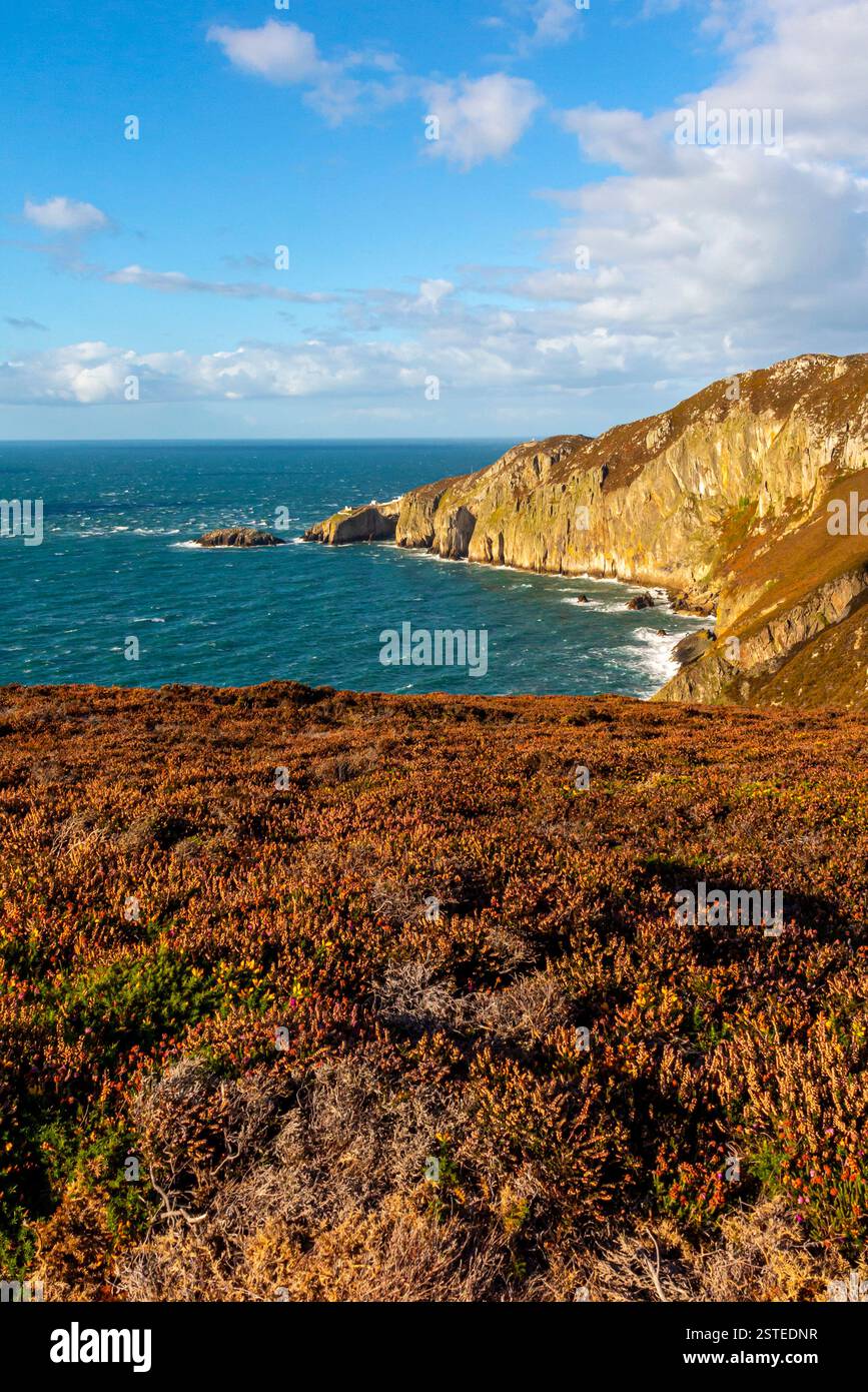 Falaises et littoral en été à North Stack près de Holyhead sur la côte nord d'Anglesey dans le nord du pays de Galles au Royaume-Uni Banque D'Images