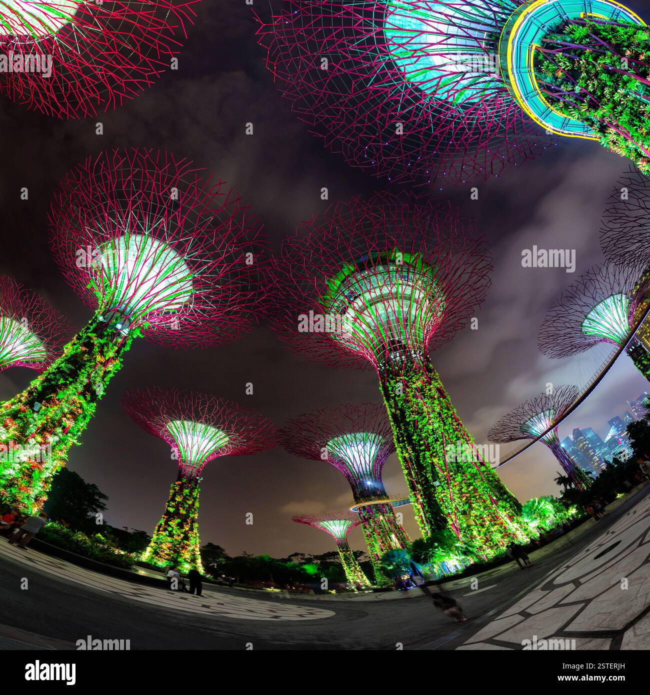 Photo fisheye de tours illuminées au Garden by the Bay à Singapour Banque D'Images