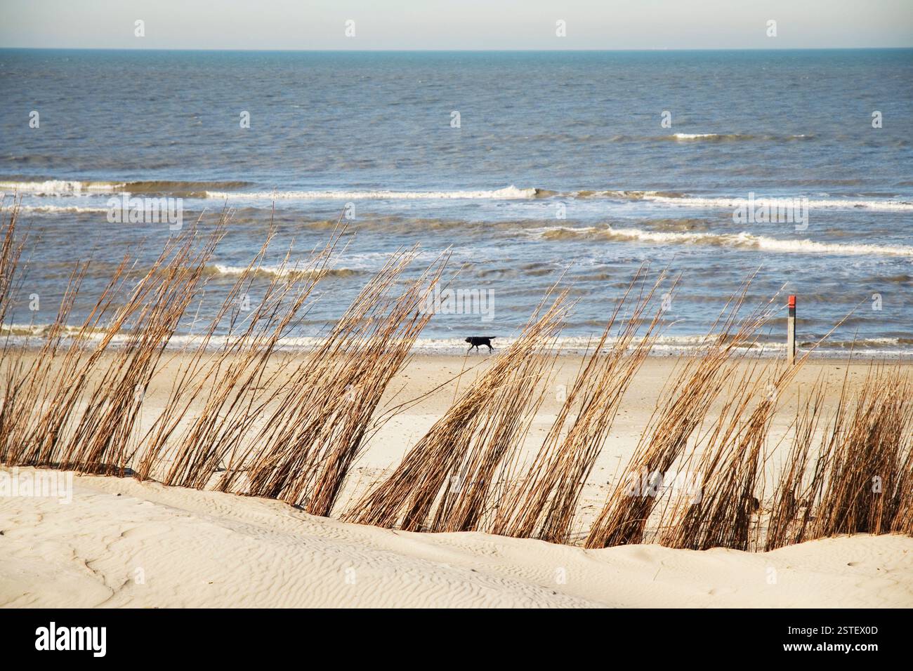 Paysage plage Banque D'Images
