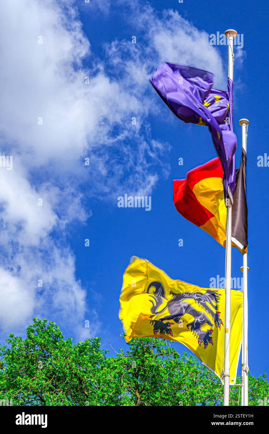 Drapeau de Flandre Vlaamse Leeuw Lion flamand ou leeuwenvlag Lion drapeau de Vlaanderen Communauté flamande et région flamande, drapeau de Belgique, Europe ou Europ Banque D'Images