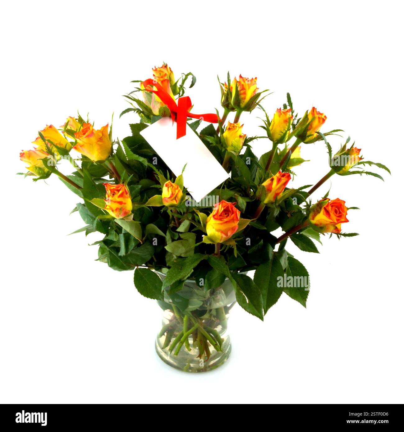 Roses avec carte d'avis Banque D'Images