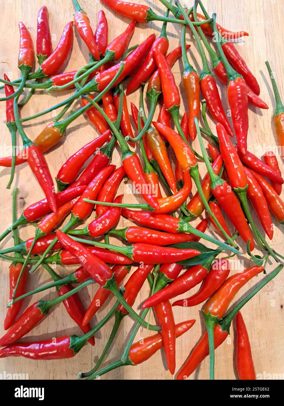 Piments rouges - Image de stock capturée avec un smartphone