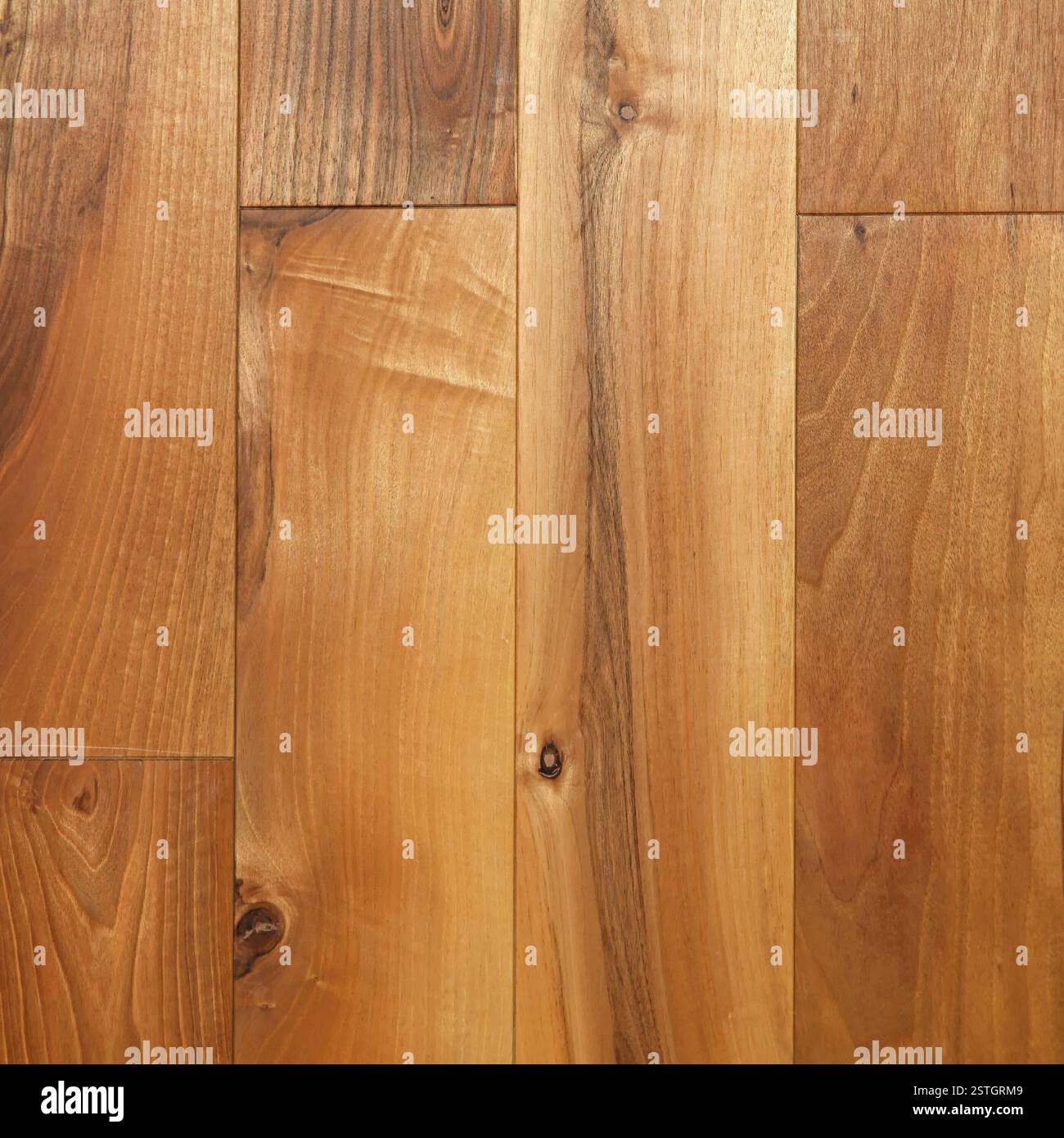 Plancher en bois Banque D'Images