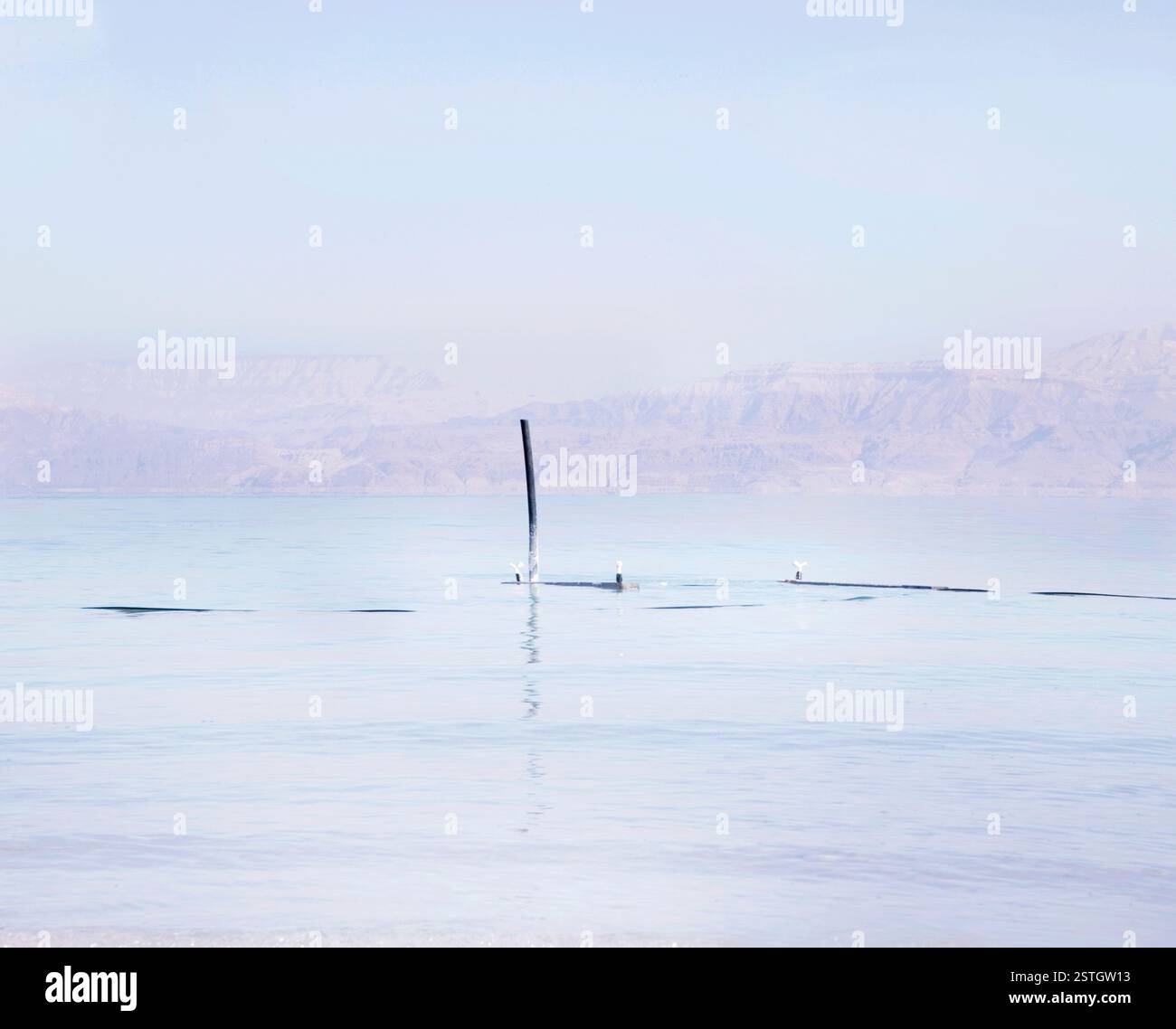 Touristes flottant sans effort dans les eaux riches en minéraux de la mer morte, réputée pour sa forte concentration en sel. Banque D'Images