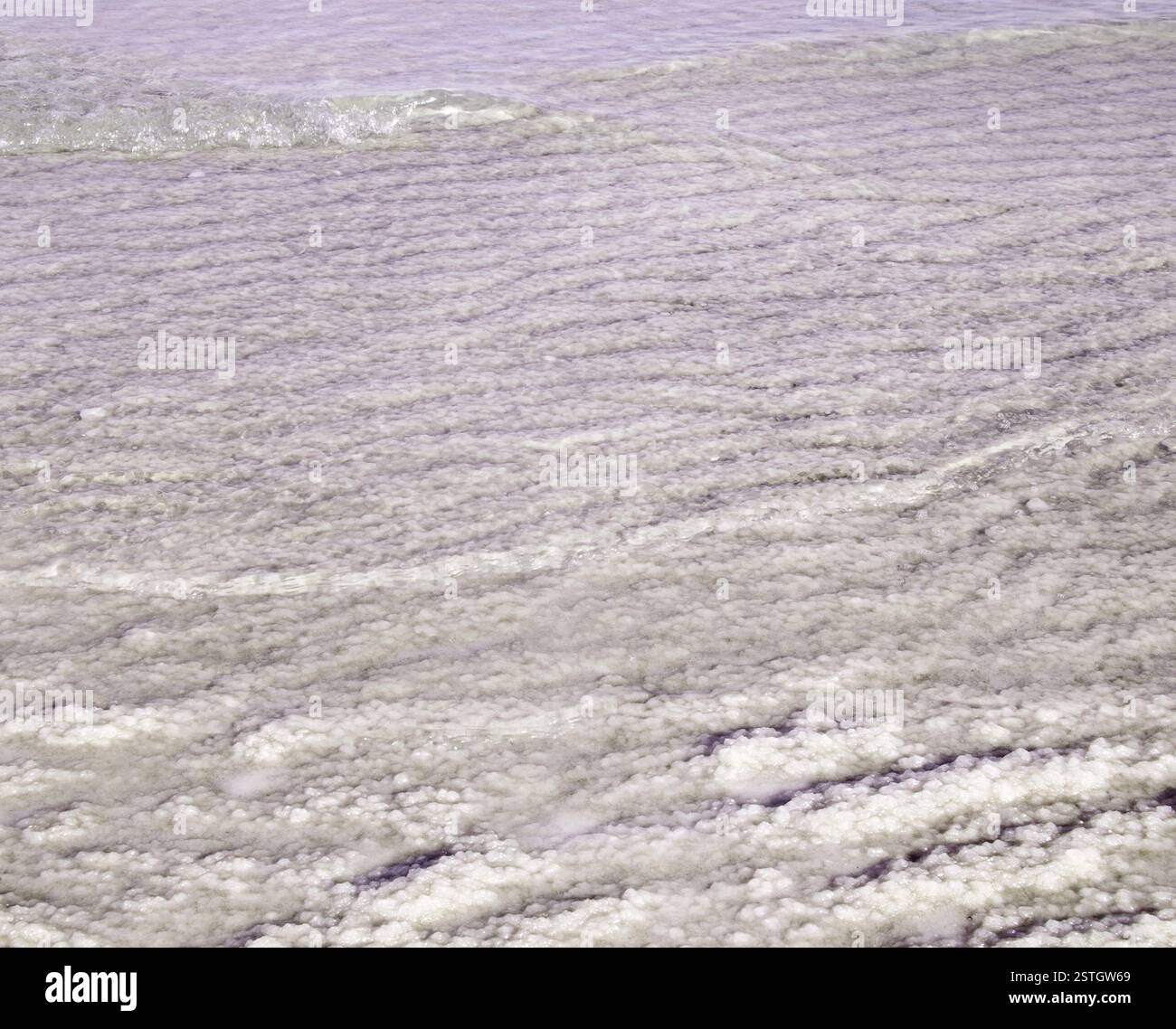 Les formations salines chatoyantes de la mer morte, Israël, sur fond de désert aride de Judée, mettant en valeur une merveille géologique unique. Banque D'Images