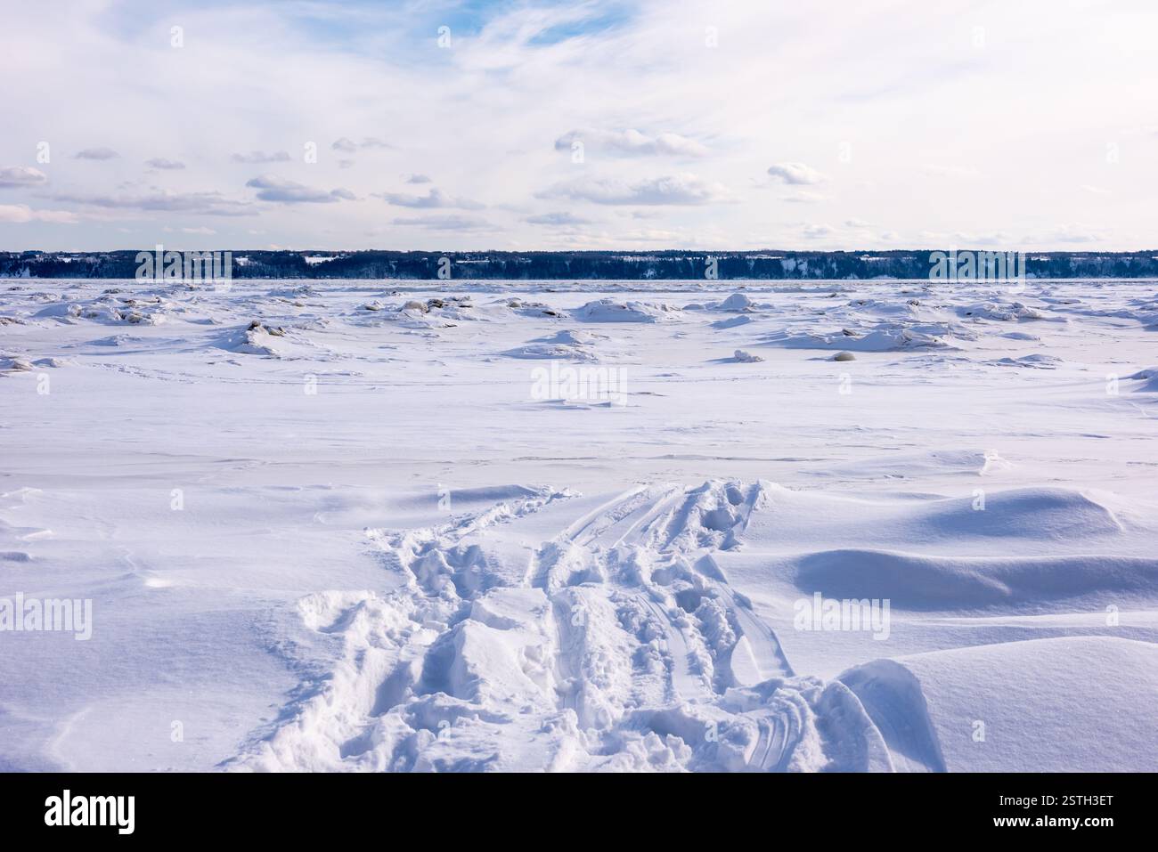 Paysage hivernal du fleuve St Laurent glacé devant Neuville (Neuville, Québec, Canada) Banque D'Images
