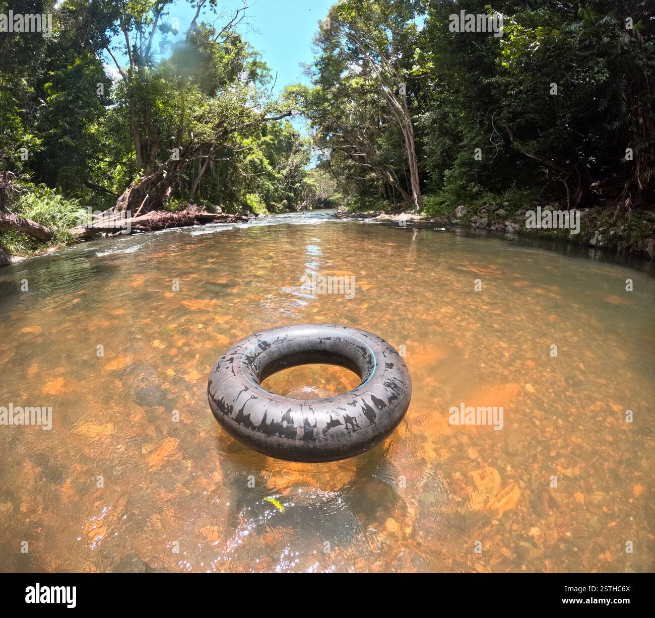 Prêt à descendre le ruisseau de la forêt tropicale, Freshwater Creek, Cairns, Queensland, Australie. Pas DE MR ou PR Banque D'Images