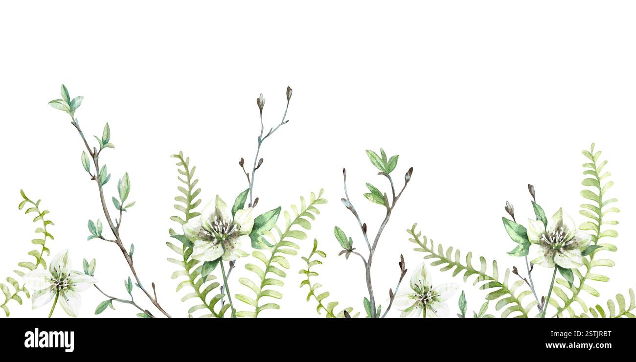 Florale ressort sans couture bordure dessinée à la main par aquarelle. Motif horizontal avec fougère, branche, fleur Banque D'Images