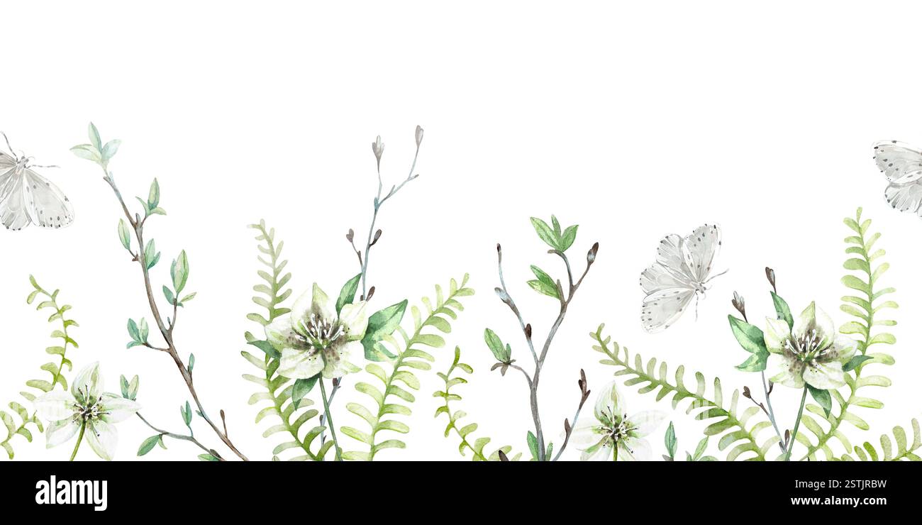 Florale ressort sans couture bordure dessinée à la main par aquarelle. Motif horizontal avec fougère, branche, fleur Banque D'Images