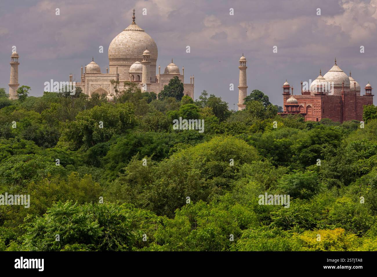 Green Taj Mahal, Agra, Inde Banque D'Images