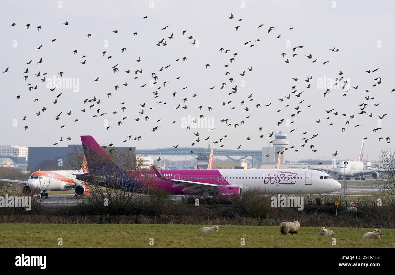 A Whizz Air planes fait la queue pour décoller à l'aéroport de Londres Gatwick à Crawley, West Sussex. Gatwick veut mettre sa deuxième piste d'urgence en service de routine pour les décollages par de plus petits avions, augmentant ainsi la capacité de vol annuelle de l'aéroport de 100 000. Les opposants à l'expansion ont accusé l'aéroport d'essayer d'ouvrir "une nouvelle piste à bas prix". Date de la photo : vendredi 14 février 2025. Banque D'Images
