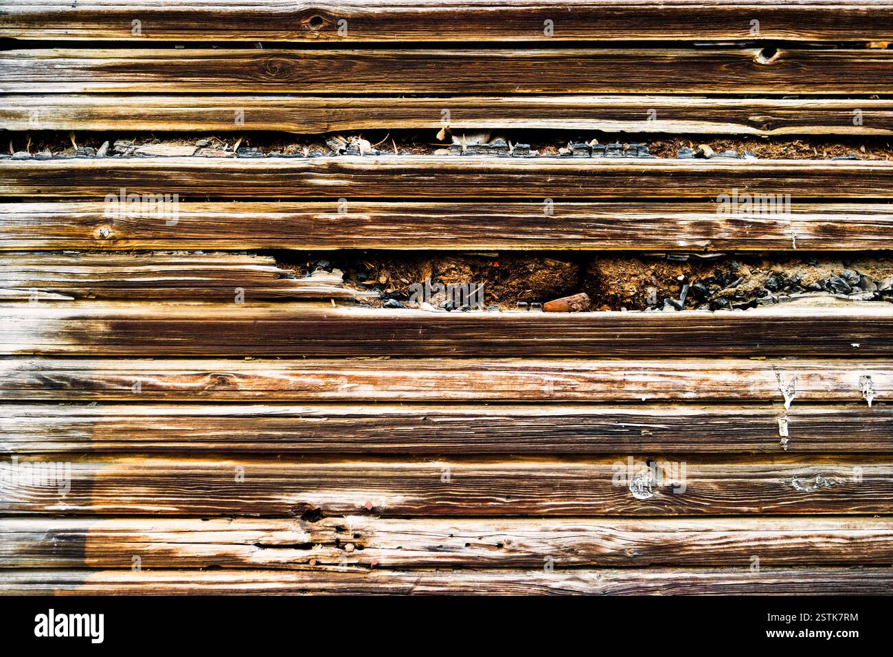 Fond abstrait de texture de bois grunge. Arrière-plan de planches rugueuses Banque D'Images