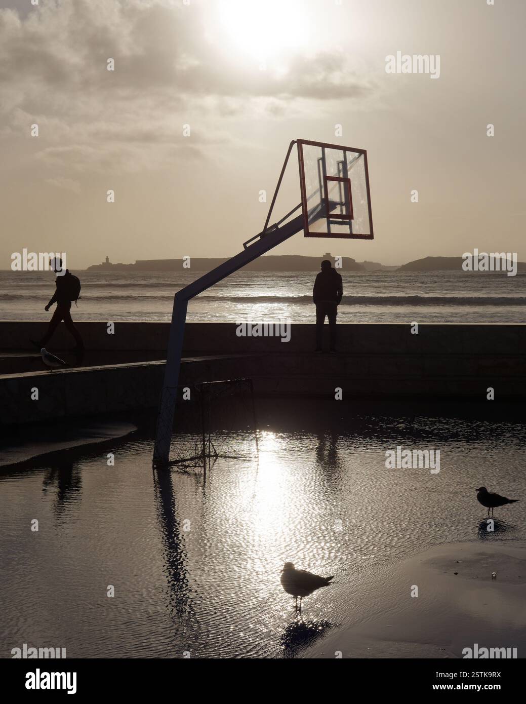 Les oiseaux se tiennent dans l'eau après la pluie à côté d'un filet de basket-ball avec des gens en silhouette et l'île derrière à Essaouira, Maroc. 18 février 2025 Banque D'Images
