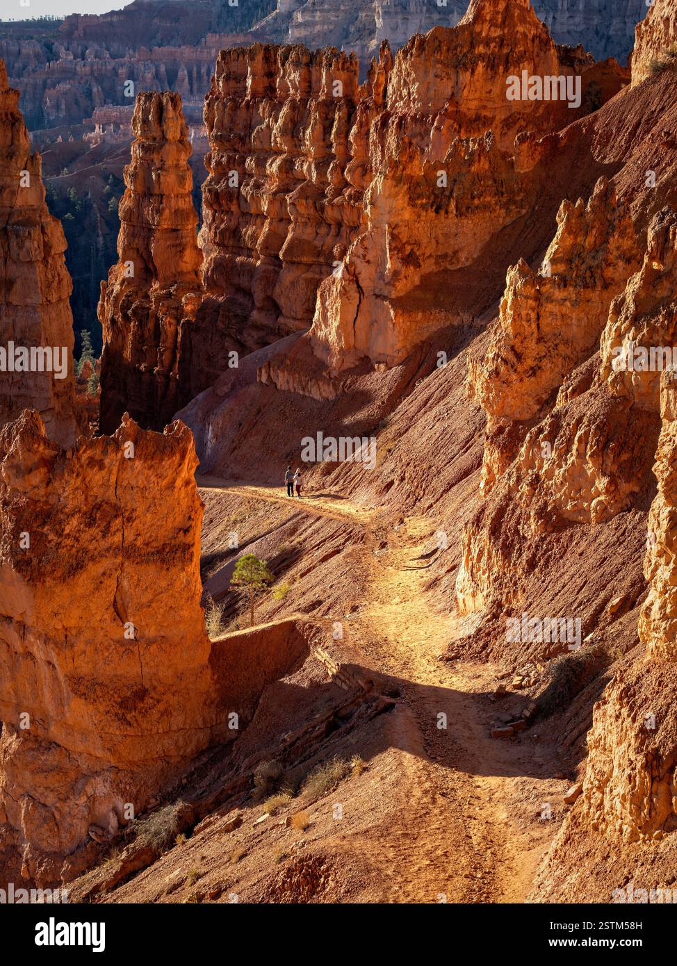 Les randonneurs montent sur un sentier pittoresque qui serpente à travers l'amphithéâtre emblématique du parc national de Bryce Canyon dans le sud de l'Utah, entouré d'imposants rochers rouges. Banque D'Images