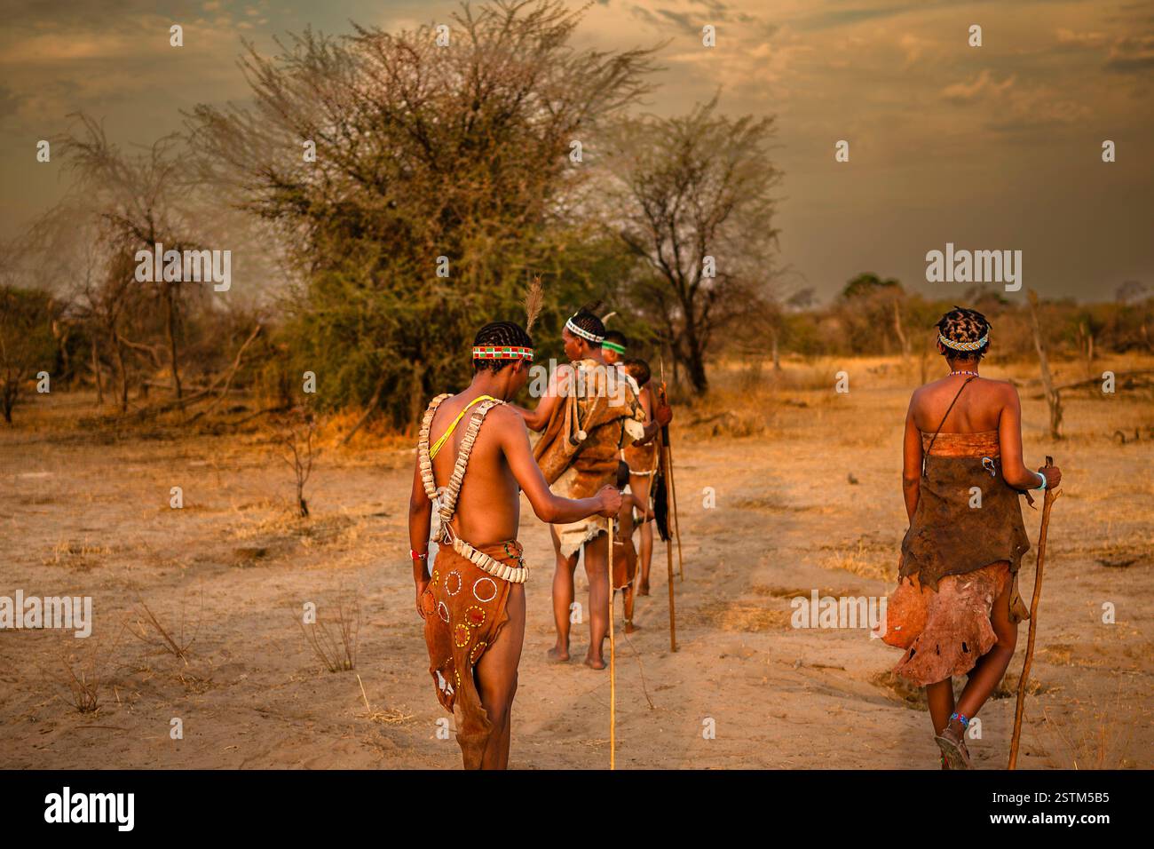 Les chasseurs de Bushmen marchent à travers les prairies dans la savane africaine Banque D'Images