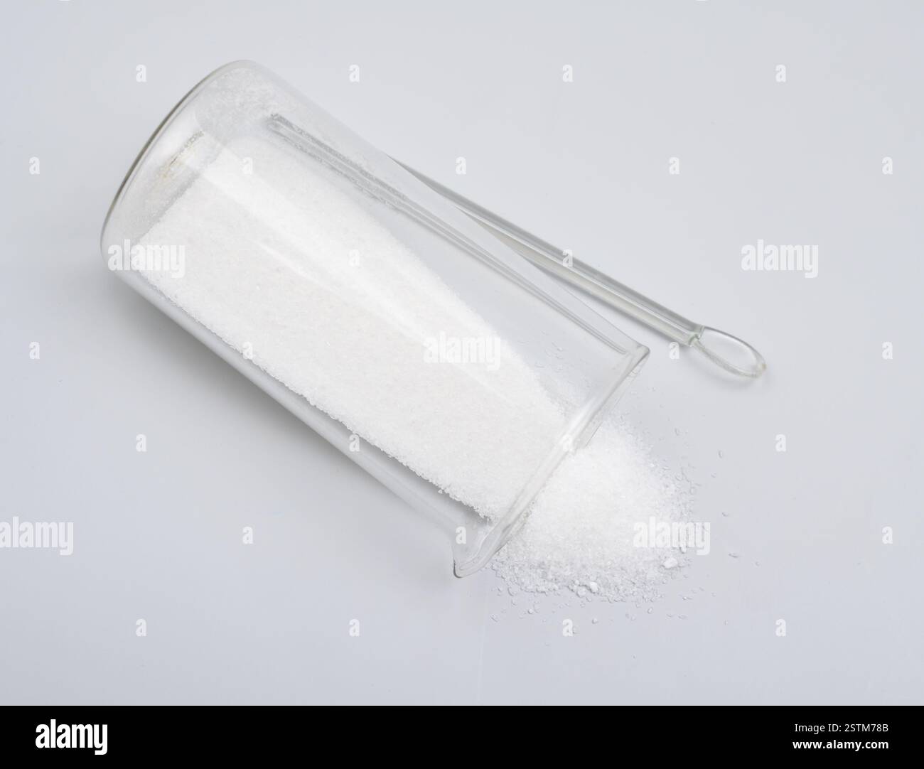 Propylparaben aussi orthographié propyl paraben. Banque D'Images