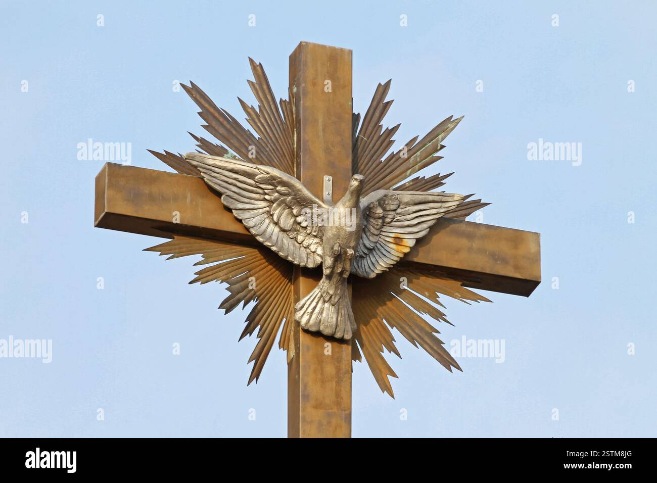 Colombe de la paix Banque D'Images