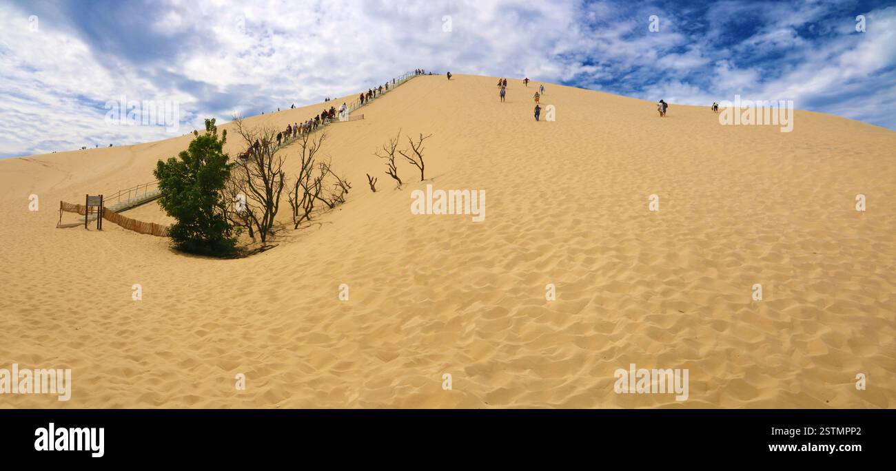La dune du Pilat, proche de la baie et de la ville d'Arcachon. Banque D'Images