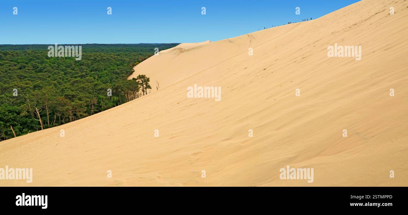 La dune du Pilat, proche de la baie et de la ville d'Arcachon. Banque D'Images