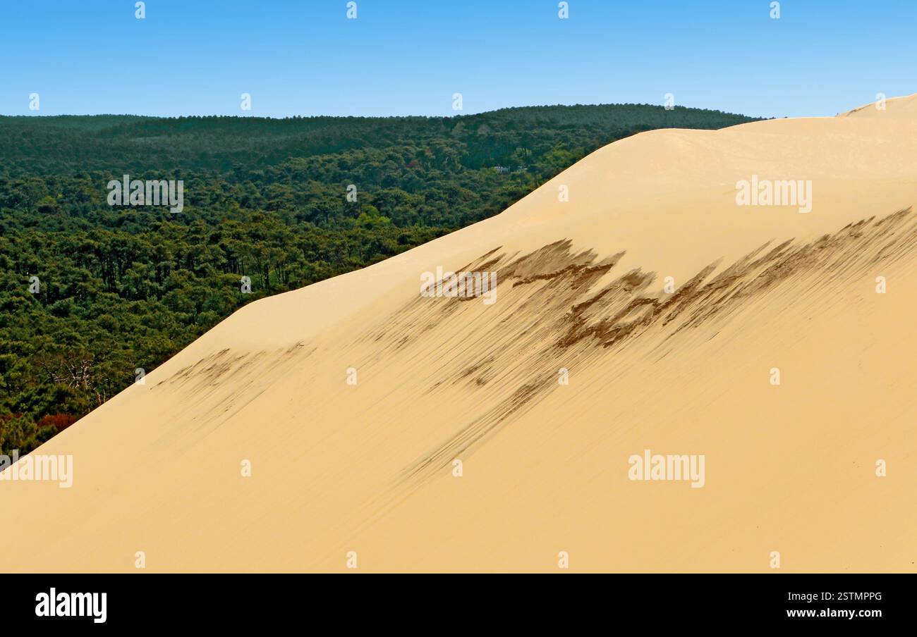 La dune du Pilat, proche de la baie et de la ville d'Arcachon. Banque D'Images