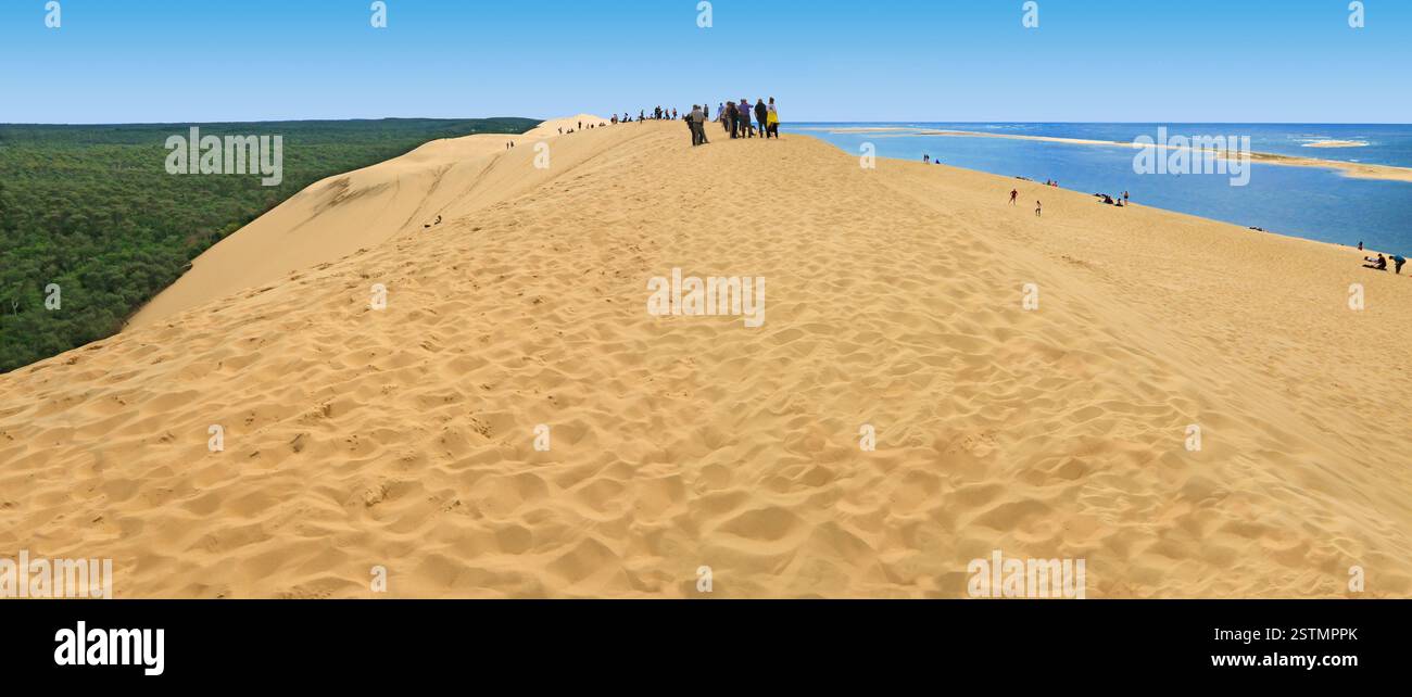 La dune du Pilat, proche de la baie et de la ville d'Arcachon. Banque D'Images